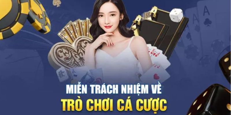 Khái quát chi tiết về miễn trách nhiệm